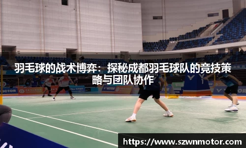 羽毛球的战术博弈：探秘成都羽毛球队的竞技策略与团队协作