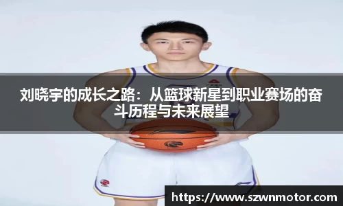 xk体育官网